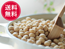 国産北海道産大豆無農薬大豆とよまさり 業務用